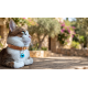 JADDA %100 El Yapımı Deri Kedi tasması Zilli Deri Kolay Açılan Klips Tokalı Mavi