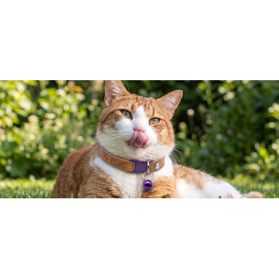 JADDA %100 El Yapımı Deri Kedi tasması Zilli Deri Kolay Açılan Klips Tokalı Mor